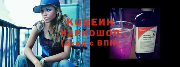 СК Струнино