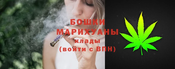 шишки Богородск