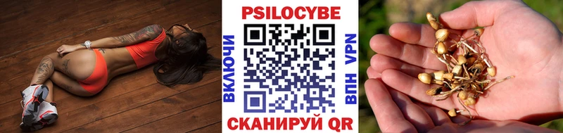 Псилоцибиновые грибы мицелий  KRAKEN ссылка  Верхний Уфалей  дарнет шоп 
